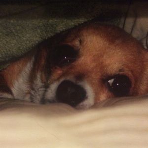 Meet your Posher, Tabitha